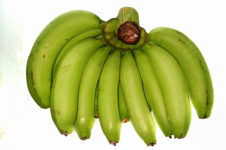 Cavendish Banana