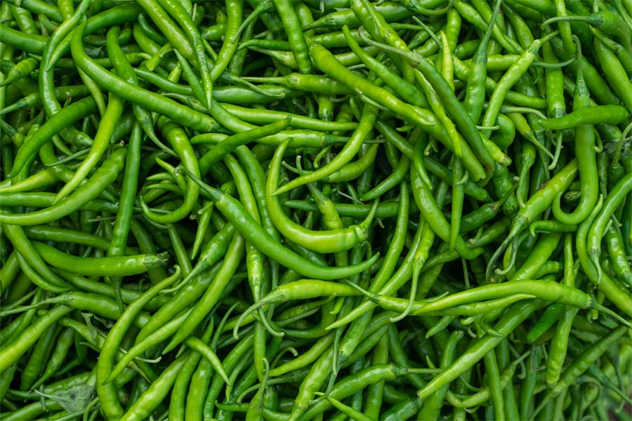 Fresh Green Chilli
