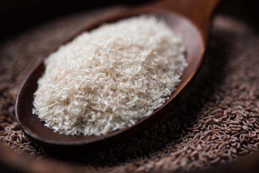 Isabgol export